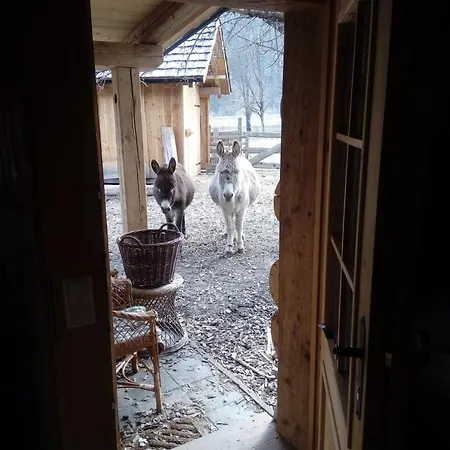Heidi Huette Semesterbostad