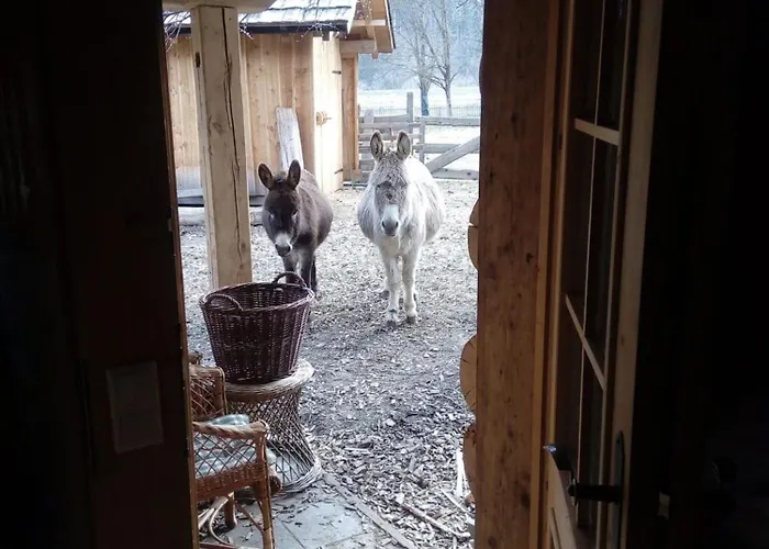 Heidi Huette Semesterbostad